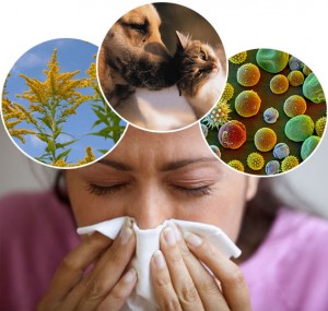 Natural Solutions for Allergies with Green World Products